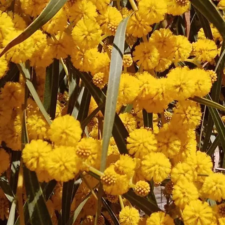 Romantic Sunset Cycladic House In Sotires * Moni Christou Dasous