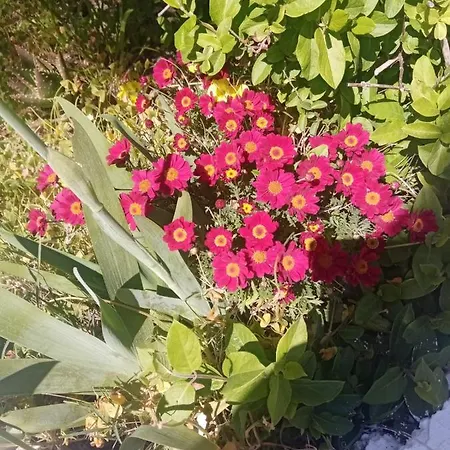 Romantic Sunset Cycladic House In Sotires Nyaraló *