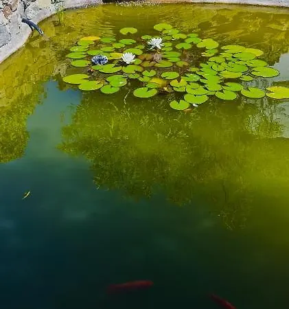 Romantic Sunset Cycladic House In Sotires *