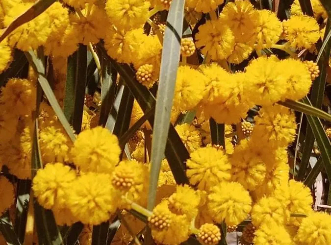 Romantic Sunset Cycladic House In Sotires * Moni Christou Dasous