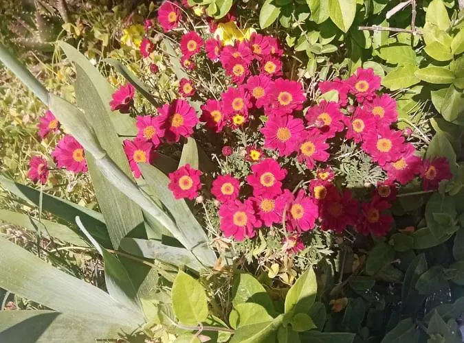 Romantic Sunset Cycladic House In Sotires Hébergement de vacances *